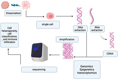 Recent progress and applications of single-cell sequencing technology in breast cancer